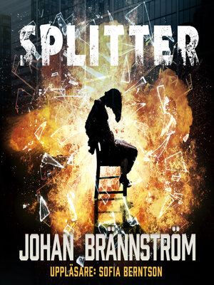 cover image of Splitter